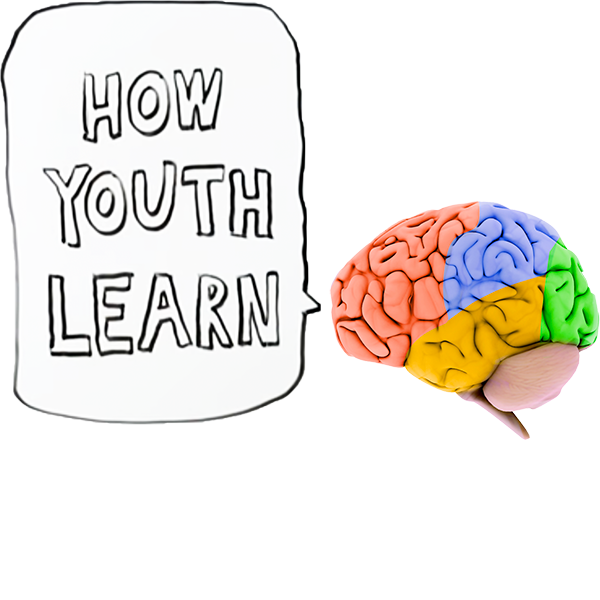 How at teen brain learns