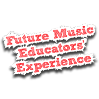 Future Music Educators' Experience