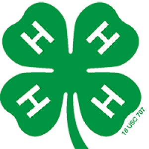 4-H